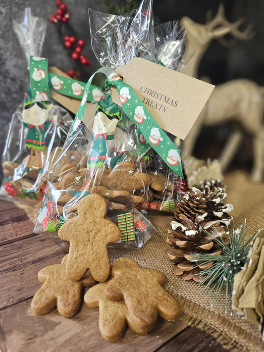 Gingerbread Christmas Treat Bag