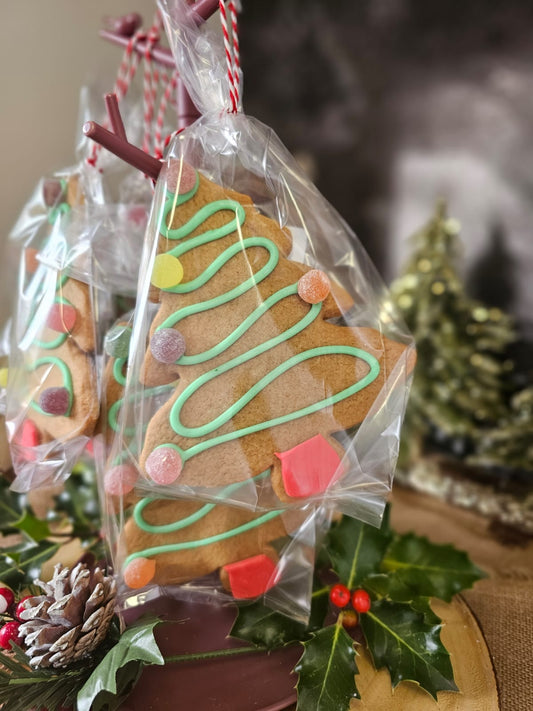 Christmas Gingerbread Biscuits